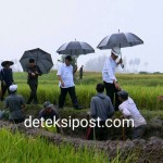 Presiden Meninjau Pelaksanaan Padat Karya Tunai di Tanah Datar