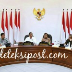 Presiden Terus Dorong Penggunaan Energi Baru Terbarukan