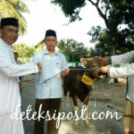Pangdam Sholat Idul Adha Bersama Warga Masyarakat Pemenang.
