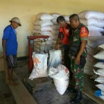 Babinsa Suwat Pantau Ketersediaan Pupuk