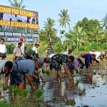 Kodim 1611/Badung Bersama Petani Subak Grana Tanam Padi