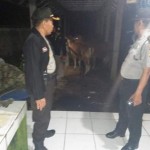 Dinas Peternakan Gandeng Polda Bali Untuk Awasi Rumah Potong Hewan