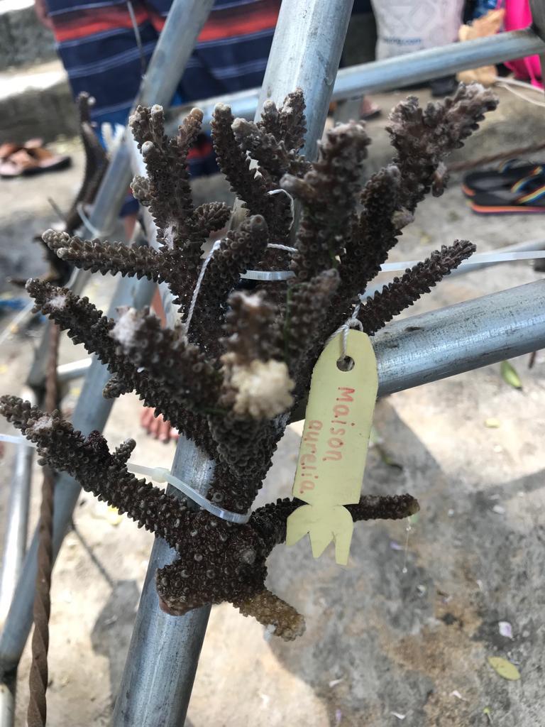 IMG-20190608-WA0054