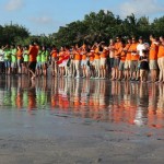 TAUZIA HOTELS CELEBRATES INDEPENDENCE DAY BY RELEASE HUNDREDS OF BABY TURTLES