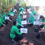 Ketua Persit Kodim Tabanan Bersama Anggotanya, Kembangkan Budidaya Sayuran