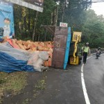 Tim Unit Lalu Lintas Polsek Kerambitan Bantu Evakuasi Truck Terguling