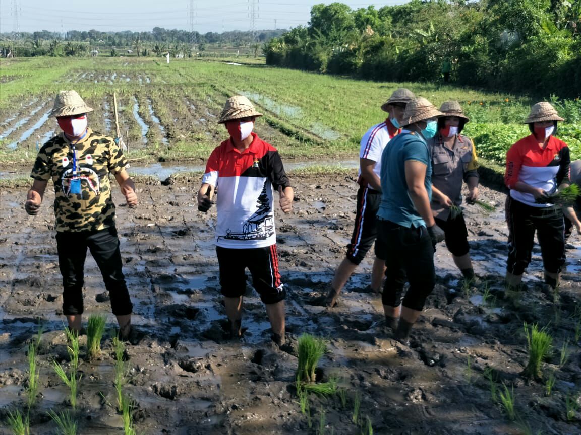 IMG_20200612_170959816