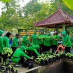 Program Demplot Ketahanan Pangan Kodim Tabanan Panen Sayuran