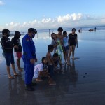 Puluhan Tukik Muncul di Pantai Petitenget