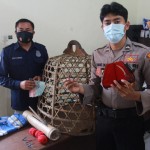 Polisi Grebek Judi Sabung Ayam di Tengah Pandemic Covid-19.