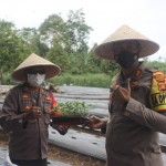 Kapolres Badung; Terus Kembangkan Program Polisi Berkebun.