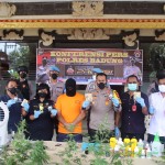 Polisi Tangkap WNA Asal Spanyol Tanam Ganja di Rumah