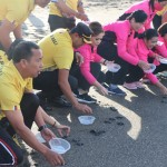 Jelang Peringatan Hari Polwan Dan HKGB, Polres Badung Lepas Ratusan Tukik