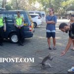 Tingkatkan Pelayanan, Sat Samapta Polres Badung Patroli