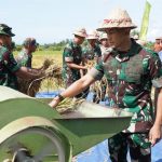 Sukseskan Swasembada Pangan, Pangdam IX/Udayana Panen Raya Padi di Desa Sidan