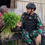 Sayur Hasil Panen Dari Kebun Satgas Yonif 623 di Bagikan ke Warga Sekitar Pos Konja