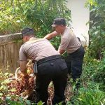 Langkah Nyata Polsek Dentim: Bhabinkamtibmas Ajak Warga Manfaatkan Pekarangan Rumah untuk Ketahanan Pangan