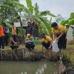 Penebaran Benih Ikan Nila: Polsek Dentim Dukung Program Ketahanan Pangan