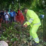 Polsek Mengwi Bersama Warga Evakuasi Pohon Tumbang