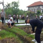 Program Ketahanan Pangan; Polsek Mengwi Babat Lahan Baru