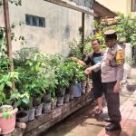 Bhabinkamtibmas Kelurahan Panjer Ajak Masyarakat memanfaatkan pekarangan rumah menjadi lahan produktif