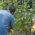 Polsek Denpasar Barat Dukung Ketahanan Pangan Melalui Program Pekarangan Pangan Bergizi Dimasyarakat