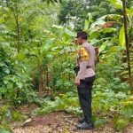 Polsek Kuta Selatan dukung ketahanan pangan dengan sambangi pok tani Bukal Sari Pecatu