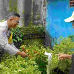 Perkuat Ketahanan Pangan, Bhabinkamtibmas Desa Mekar Bhuwana Motivasi Program P2L Kepada Masyarakat Binaannya