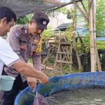 Lakukan Monitoring, Bhabinkamtibmas Sambangi Usaha Pembibitan Ikan Lele