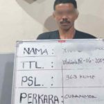 2 Pelaku Curanmor Diringkus Polsek Dentim