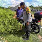 Bhabinkamtibmas Kel. Kesiman Aktif Bina Warga untuk Kembangkan Kebun Pangan Bergizi