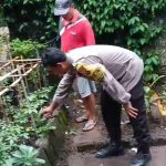 Dukung Swasembada Pangan, Bhabinkamtibmas Desa Blahkiuh Tinjau Pekarangan Warga