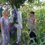 Bhabinkamtibmas Desa Sedang Polsek Abiansemal Aipda Gusti Putu Eka Artana Tinjau Pekarangan Rumah Tangga Sebagai Upaya Ketahanan Pangan