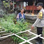 Pemanfaatan Pekarangan Untuk Ketahanan Pangan, Bhabinkamtibmas Desa Jagapati Ajak Warga Mandiri Pangan