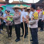 Wujudkan Kemandirian Pangan, Polsek Abiansemal & Forkopimcam Gelar Tanam Jagung Serentak Kwartal III Tahun 2025