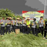 Panen Raya Jagung Serentak Kwartal III Di Sanur Kauh, Wujud Sinergi Tni-Polri Dukung Ketahanan Pangan Nasional 2025