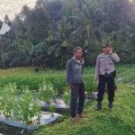 Dekat dengan Warga, Bhabinkamtibmas Desa Selisihan Sambang Petani di Sawah.