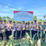 Polres Klungkung Gelar Panen Raya Jagung Lahan Binaan, Dukung Program Swasembada Pangan.