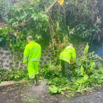 Polsek Banjarangkan Tangani Pohon Tumbang di Jalan Tusan–Banjarangkan.