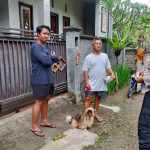 Bhabinkamtibmas Paksebali Lakukan Sambang Dan Cek Jentik Dbd Di Dusun Timbrah.