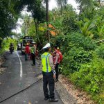 Cuaca Ekstrem Sebabkan Tiang Listrik Tumbang di Desa Sakti, Polisi Lakukan Pengamanan Lokasi.
