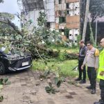 Personel Polsek Denpasar Utara Tanggap Tangani Pohon Ketapang Tumbang Timpa Mobil di Parkiran