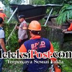 Bangunan Cagar Budaya Sarkofagus di Desa Tegak Roboh Tertimpa Pohon Cengkeh.