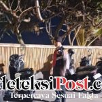 Cegah Curanmor Polsek Kuta Utara Intensifkan Patroli di Tempat Parkir Kawasan Wisata