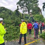Gerak Cepat Polres Badung dan Polsek Mengwi Tangani Pohon Tumbang di Jalur Denpasar–Singaraja