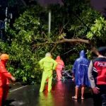 Polsek Kuta Utara Respon Cepat Laporan Pohon Tumbang Di Jalan Bumbak