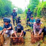 Polsek Kuta Selatan Laksanakan Penanaman Mangrove Peringati Hari Lahan Basah Sedunia