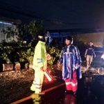 Respon Cepat Laporan 110, Polsek Mengwi Evakuasi Pohon Tumbang di Banjar Sayan