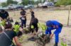 AKSI SOSIAL PENANAMAN 1.000 MANGROVE DI PULAU PUDUT, TANJUNG BENOA
