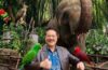 Dari Lensa Jadi Warisan! Taman Safari Bawa Biodiversitas Indonesia Mendunia Lewat IAPVC 2026
